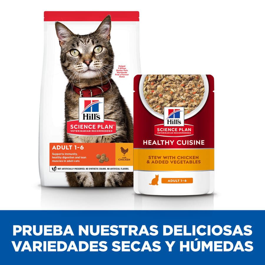 80 g Hill's Science Plan Adult Healthy Cuisine Estofado de Pollo y Verduras sobre para gatos, , large Imagen numero 7